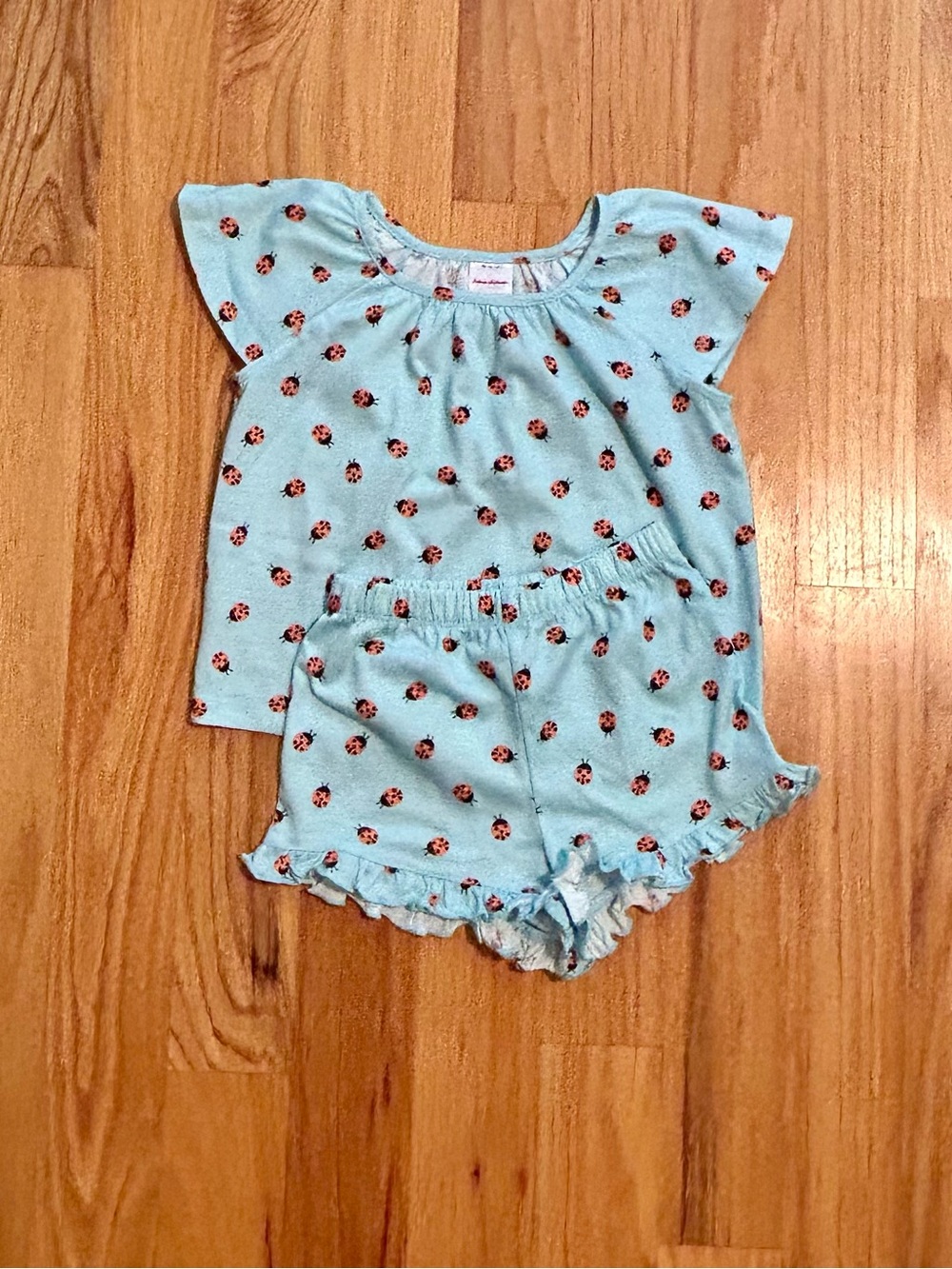 Hanna Andersson Light Blue Ladybug Pajama Set